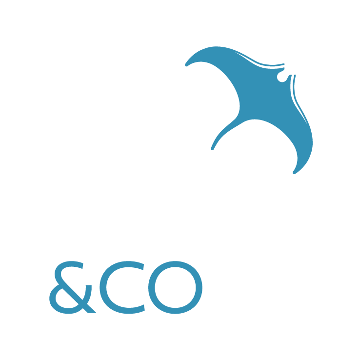 logo empresa Maluhy